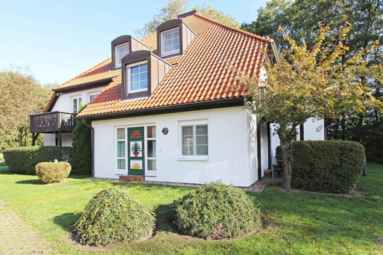 Kormoran Meersommer Prerow Exterior foto